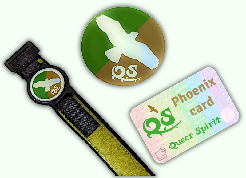 QS Phoenix system